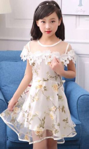 Lace Tulle Princess TUTU Girl Dress, Girls Flower Dress, Voile Birthday Party Dress, Fancy Princess Tutu Dress