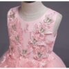 Pink Girls Dresses | Butterfly Party Dress | Wedding Gown | Butterfly Tutu Dress | Flower Girl Dresses | Butterfly BirthdayDress