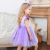 Flower girl dress, Lace Tulle dress, Purple Dress, Girls birthday dress, Girls Tutu Dress, Elegant Girl Dresses, Baby Girl Dress