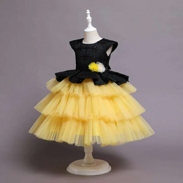 Girl's Princess Dress, Flower Girl dress,Girls Birthday Dress, Lace Tulle Dress, Girls Dresses,Girls tutu Dress