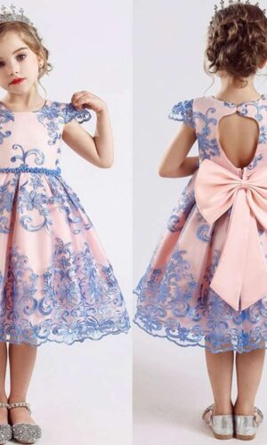 Flower girl dress | Girls Princess Ball Gown Party Dress Embroidered dress