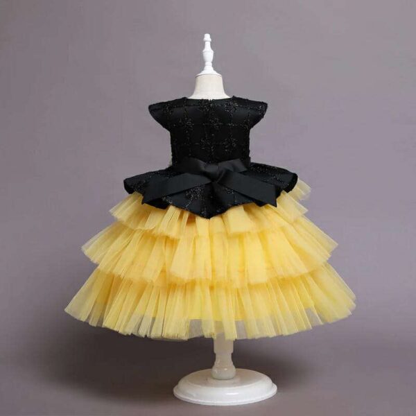 Girl's Princess Dress, Flower Girl dress,Girls Birthday Dress, Lace Tulle Dress, Girls Dresses,Girls tutu Dress