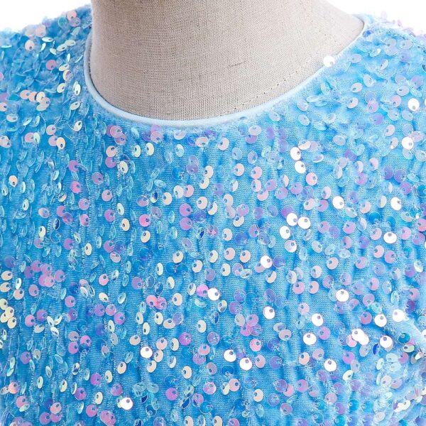 Blue Girl Dress | Princess Dress | Baby Birthday Party Princess Pageant Prom Gown Flower Child Formal Wedding Vestido, LaceTulle Dress