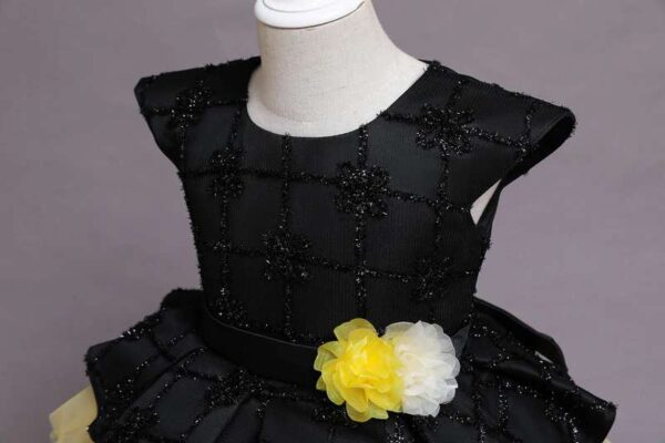 Girl's Princess Dress, Flower Girl dress,Girls Birthday Dress, Lace Tulle Dress, Girls Dresses,Girls tutu Dress