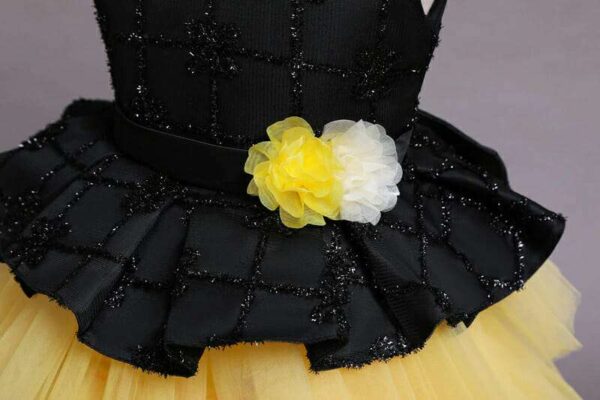 Girl's Princess Dress, Flower Girl dress,Girls Birthday Dress, Lace Tulle Dress, Girls Dresses,Girls tutu Dress