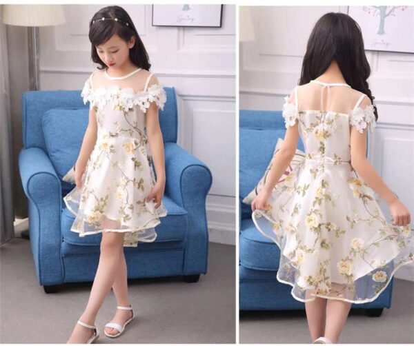 Lace Tulle Princess TUTU Girl Dress, Girls Flower Dress, Voile Birthday Party Dress, Fancy Princess Tutu Dress