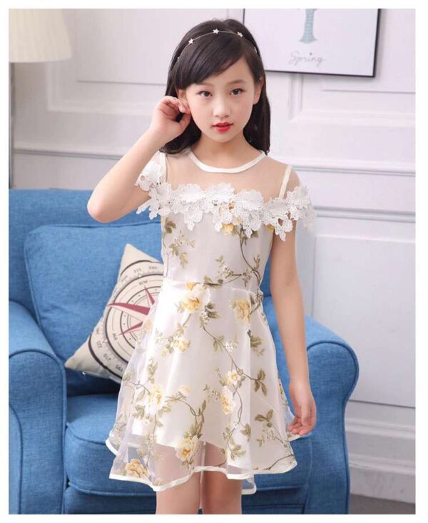 Lace Tulle Princess TUTU Girl Dress, Girls Flower Dress, Voile Birthday Party Dress, Fancy Princess Tutu Dress