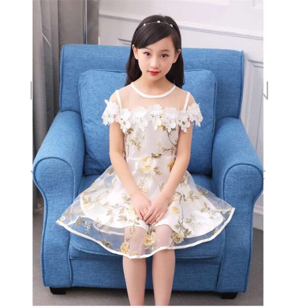 Lace Tulle Princess TUTU Girl Dress, Girls Flower Dress, Voile Birthday Party Dress, Fancy Princess Tutu Dress