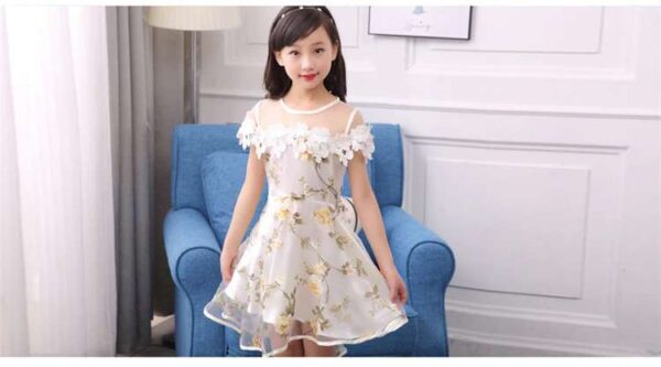 Lace Tulle Princess TUTU Girl Dress, Girls Flower Dress, Voile Birthday Party Dress, Fancy Princess Tutu Dress