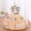 Enchanting Butterfly Kids Party Dresses | Butterfly Princess Dress & Flower Girl Tutu Dresses for Girls