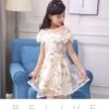 Lace Tulle Princess TUTU Girl Dress, Girls Flower Dress, Voile Birthday Party Dress, Fancy Princess Tutu Dress