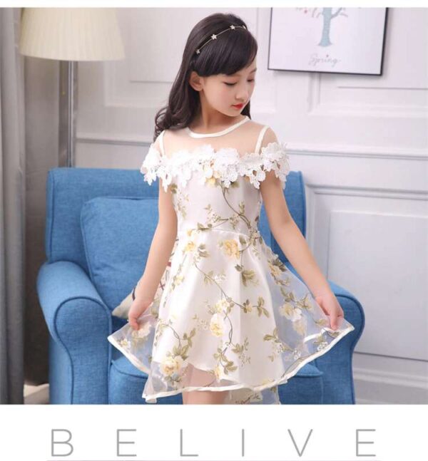 Lace Tulle Princess TUTU Girl Dress, Girls Flower Dress, Voile Birthday Party Dress, Fancy Princess Tutu Dress