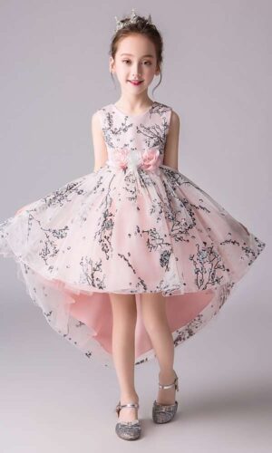 Flower Girl Dress | Evening Formal dresses | Wedding party Dress | girls trailing Dress | Puffy Dress for Toddler Girls Tutu Dress