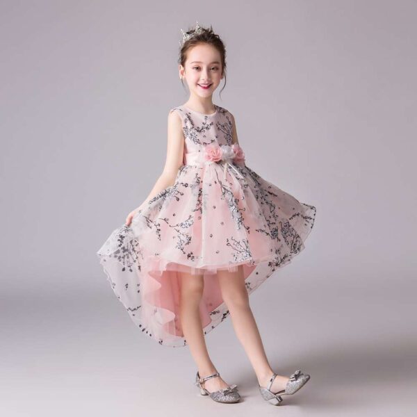 Flower Girl Dress | Evening Formal dresses | Wedding party Dress | girls trailing Dress | Puffy Dress for Toddler Girls Tutu Dress