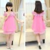 Chiffon Princess Lace Tulle Girls Dress, Evening Dress, Tutu Dress, Flower Dress, Pink Fairy Dress