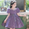 Girls Birthday Ball Gown Girls Sparkle Sequin Puffy Dress Elegant Evening Pageant Dresses