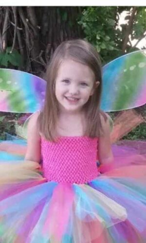 Girls Rainbow Tutu Dress, Rainbow fairy Dress, Girls Tutu Dress, Girls Princess Dress, fairy Costume, Butterfly Wing dress