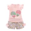 Baby Girl Summer Outfit Toddler Kids Baby Girls T-Shirt Tops + Floral Shorts Pants Candy Printed Outfits