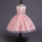 Pink Girls Dresses | Butterfly Party Dress | Wedding Gown | Butterfly Tutu Dress | Flower Girl Dresses | Butterfly BirthdayDress