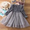 Elegant Lace Tulle Princess Tutu Dress | Girls Bridesmaid & Partywear Ball Gown | Sequin Formal Prom Dress for Girls