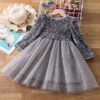 Elegant Lace Tulle Princess Tutu Dress | Girls Bridesmaid & Partywear Ball Gown | Sequin Formal Prom Dress for Girls