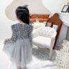 Elegant Lace Tulle Princess Tutu Dress | Girls Bridesmaid & Partywear Ball Gown | Sequin Formal Prom Dress for Girls