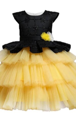 Girl's Princess Dress, Flower Girl dress,Girls Birthday Dress, Lace Tulle Dress, Girls Dresses,Girls tutu Dress