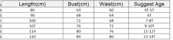 Girls Princess Dress, Girls' Long Dress, Flower Girl Dress, Party Dress, Girls Birthday dress, Lace Tulle Dresses, ball gown