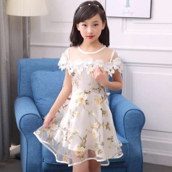 Lace Tulle Princess TUTU Girl Dress, Girls Flower Dress, Voile Birthday Party Dress, Fancy Princess Tutu Dress