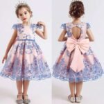 Flower girl dress | Girls Princess Ball Gown Party Dress Embroidered dress