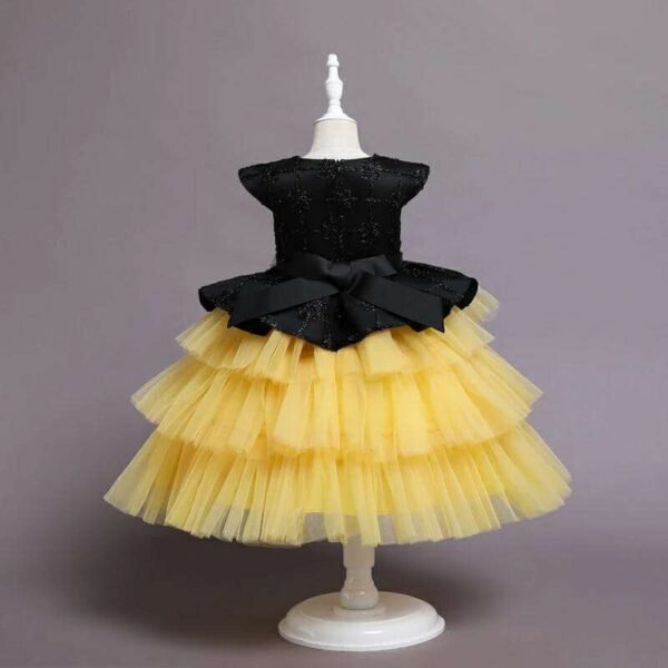 Girl's Princess Dress, Flower Girl dress,Girls Birthday Dress, Lace Tulle Dress, Girls Dresses,Girls tutu Dress