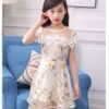Lace Tulle Princess TUTU Girl Dress, Girls Flower Dress, Voile Birthday Party Dress, Fancy Princess Tutu Dress
