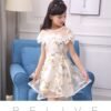 Lace Tulle Princess TUTU Girl Dress, Girls Flower Dress, Voile Birthday Party Dress, Fancy Princess Tutu Dress