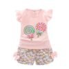 Baby Girl Summer Outfit Toddler Kids Baby Girls T-Shirt Tops + Floral Shorts Pants Candy Printed Outfits