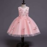 Pink Girls Dresses | Butterfly Party Dress | Wedding Gown | Butterfly Tutu Dress | Flower Girl Dresses | Butterfly BirthdayDress