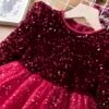 Elegant Lace Tulle Princess Tutu Dress | Girls Bridesmaid & Partywear Ball Gown | Sequin Formal Prom Dress for Girls