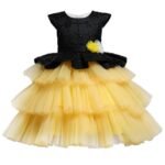 Girl's Princess Dress, Flower Girl dress,Girls Birthday Dress, Lace Tulle Dress, Girls Dresses,Girls tutu Dress